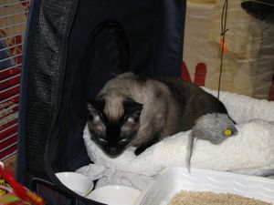 IMG_1572.JPG