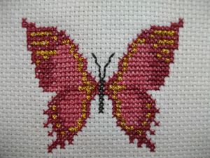 Papillon-3.jpg