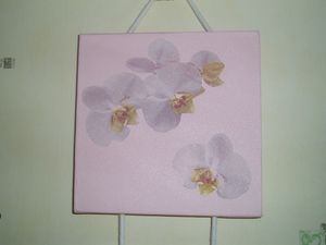 Orchidee-Yvette-2.JPG