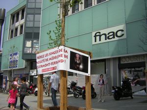 JMAL-004.jpg