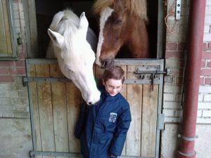 pou chevaux 3