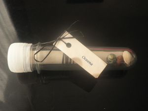 P1181846