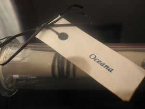 P1181848-copie-1.JPG