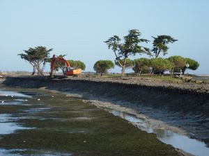 assin-002.jpg