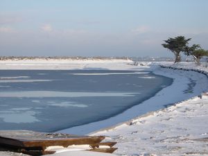 neige-2010-002.jpg