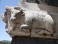 Saccargia-bis.jpg