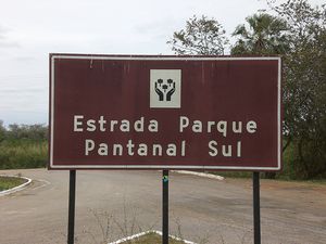 pantanal1.jpg