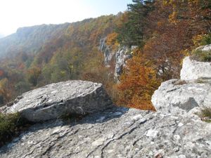 Falaise-St-Hippolyte.jpg