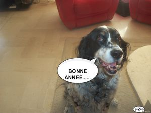BONNE-ANNEE.jpg