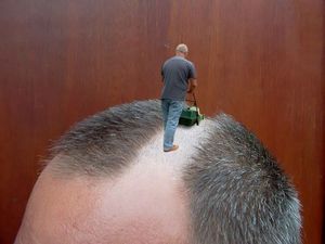 lorgnon chez le coiffeur