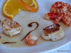 mesanges st valentin 046