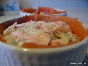endives saumon fumé 003