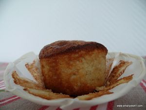 moelleux épices gingembre 006
