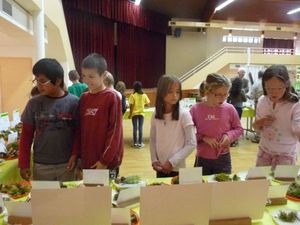scolaires-lundi-expo-EAU-2010--26--myco.JPG