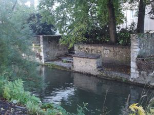 DSCF5848.JPG