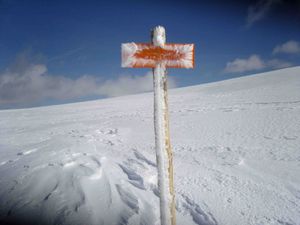 ski2.jpg