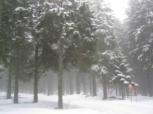 ski6.jpg