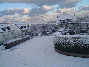 DSC00696