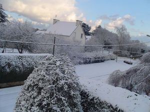 DSC00697