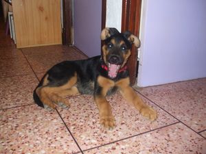 Photo LO 804