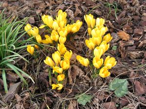 photo-1317.JPG