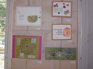 expo 2010-10