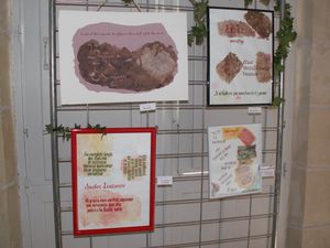 expo 2010-11