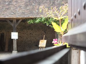 Coudrecieux 1