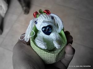 DSCF8575