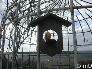 Pomme oiz-border