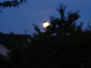 P1020819