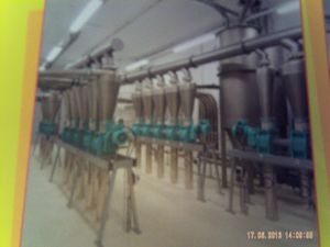 005-copie-2.JPG