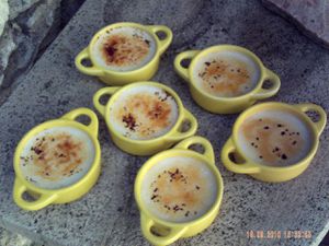 PICT0008-copie-3.JPG