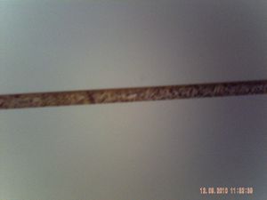PICT0015.JPG