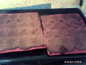 PICT0003-copie-7.JPG