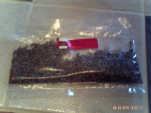 PICT0006.JPG