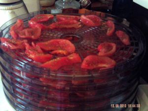 PICT0001.JPG