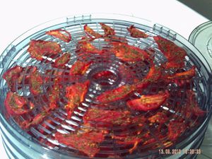 PICT0002.JPG