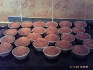 PICT0004-copie-6.JPG
