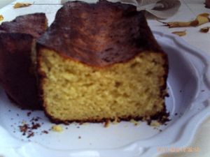 PICT0008-copie-4.JPG