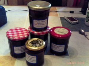 PICT0001-copie-13.JPG