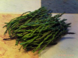 PICT0002-copie-17.JPG