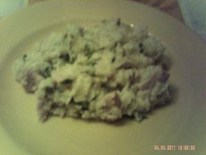 PICT0004-copie-15.JPG