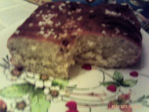PICT0014-copie-8.JPG