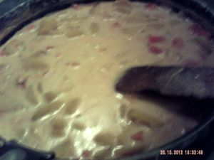 008-copie-2