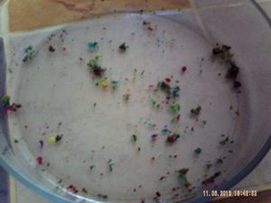 008-copie-12