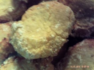 002-copie-3.JPG