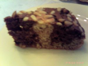 002-copie-4.JPG