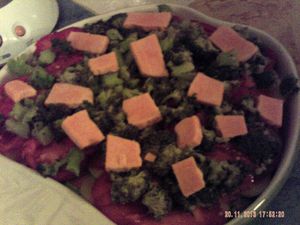 010-copie-5.JPG