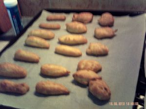 014-copie-2.JPG
